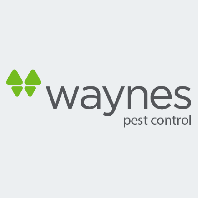 Wayne's Pest Control